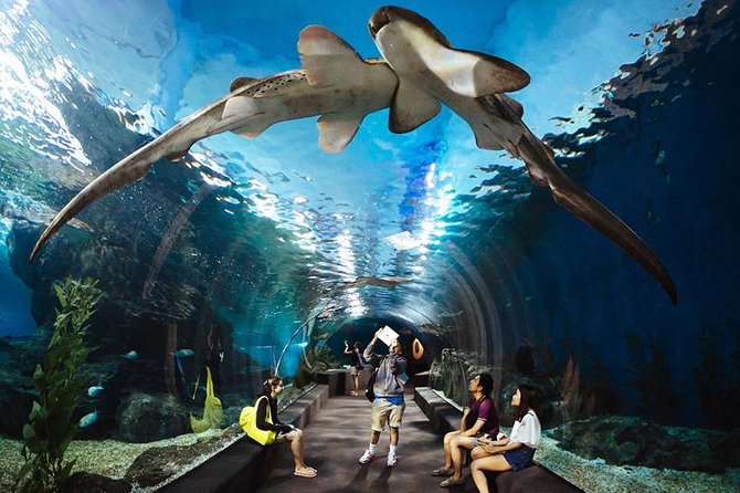 تور ترکیبی تایلند (پوکت + پاتایا)